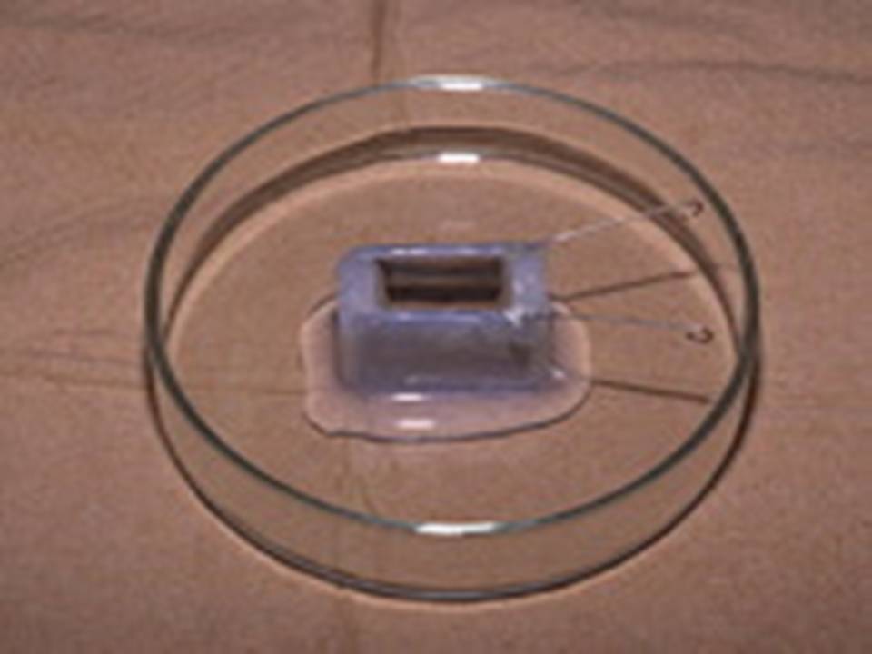 Chamber CUY495P10