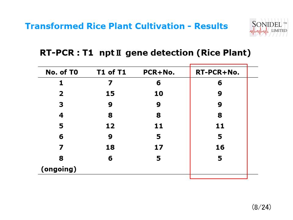 Transformed_Rice_Plant_Cultivation-Results with NEPA21