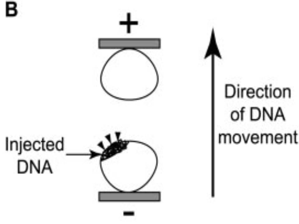 Diagram2