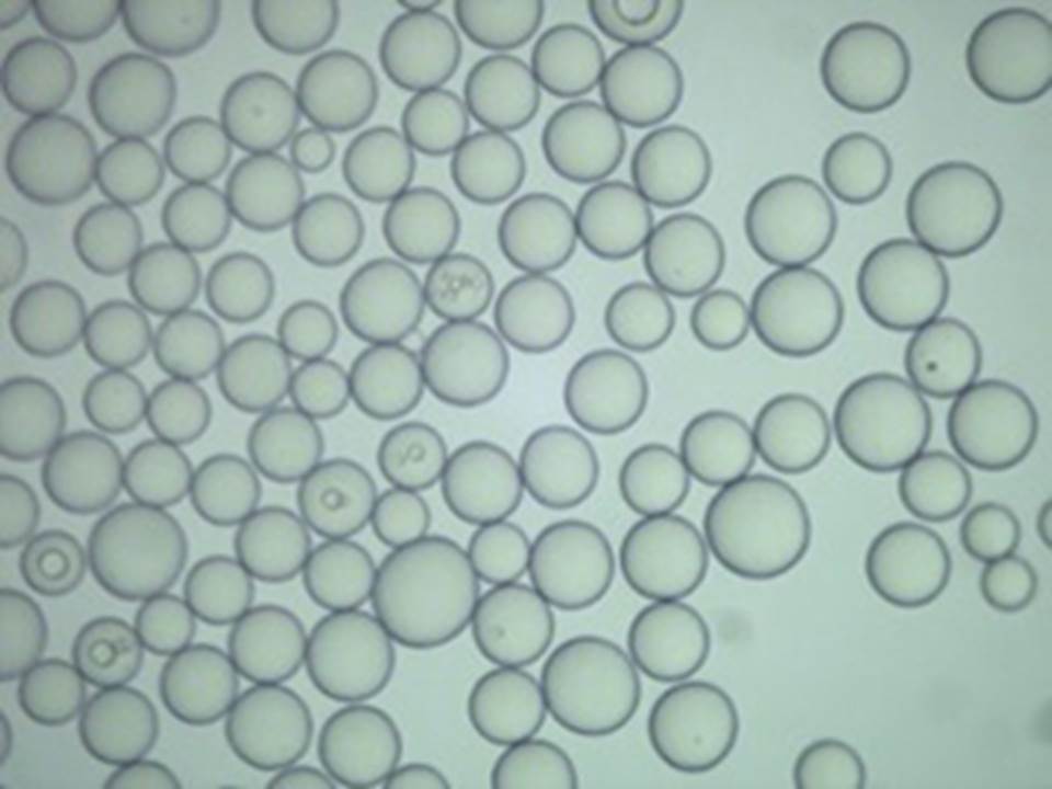 標準的な明視野