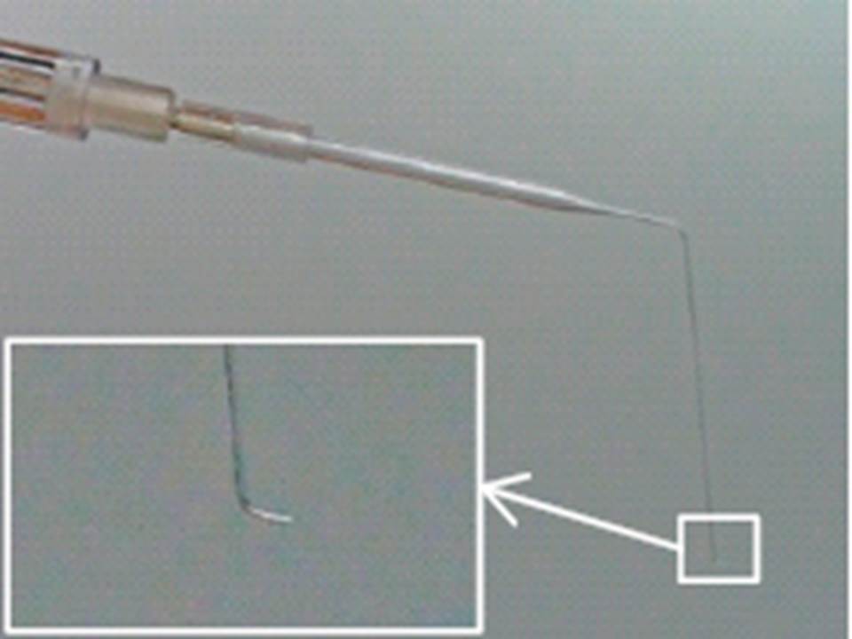 s shape glass micropipette