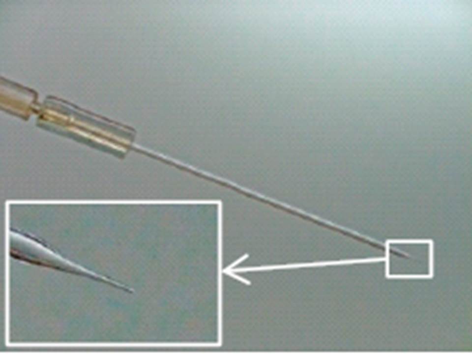 straight shape glass micropipette