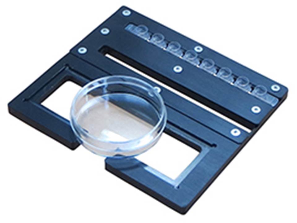 pcr 8cap strip holder