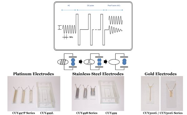 Applications and Electrode Selection