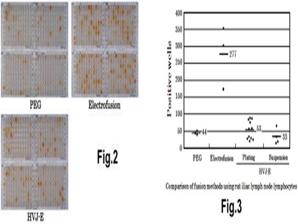 ecfg21 / Comparison of methods using PEG and electrofusion