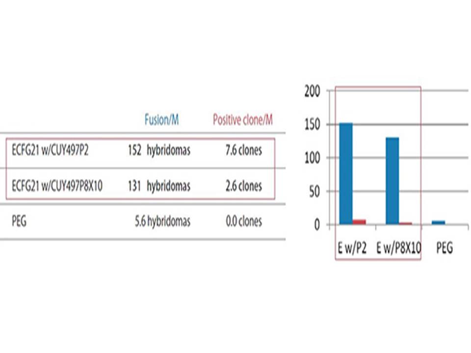 ECFG21-Antigen used-20 kDa immunosuppressive protein with high homology