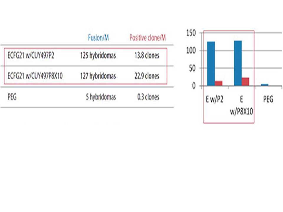 ECFG21 Antigen used-Highly hydrophobic 17 amino acid peptide